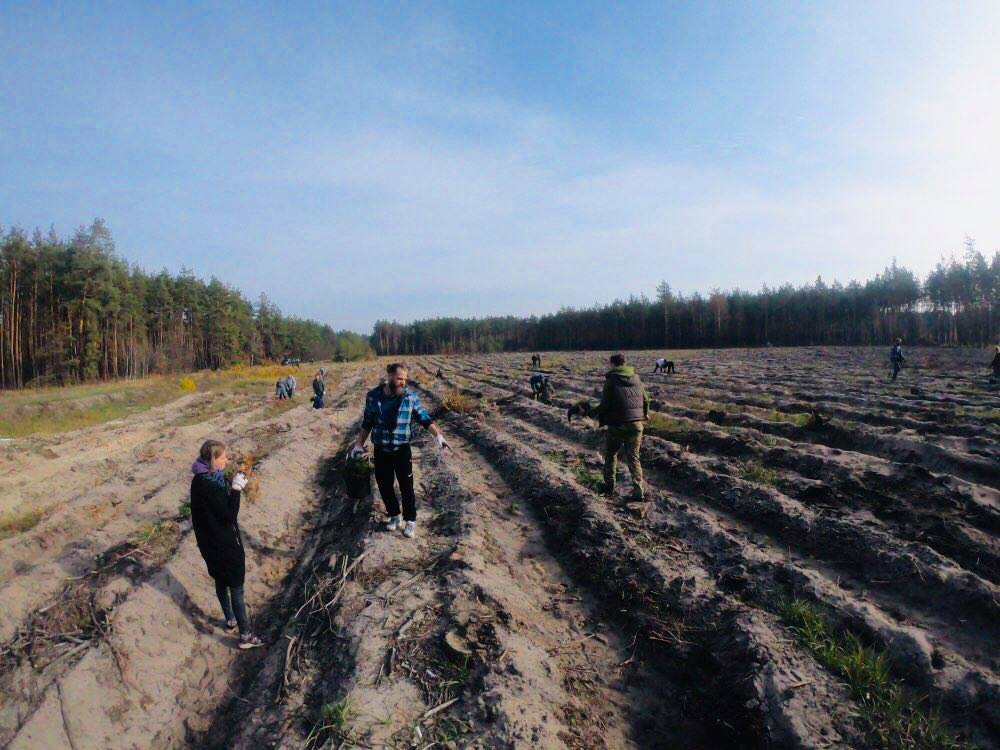 копаем огород